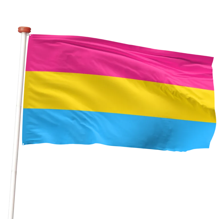 Pan sexual vlag