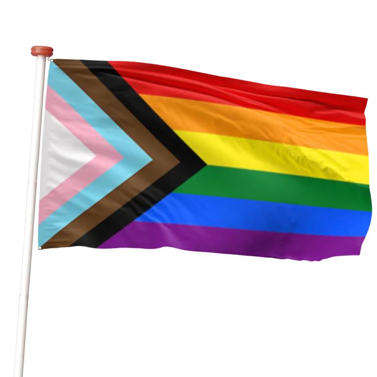 Progress Pride vlag