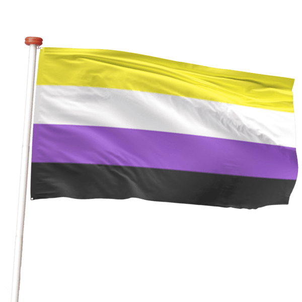 Non-Binary Pride vlag