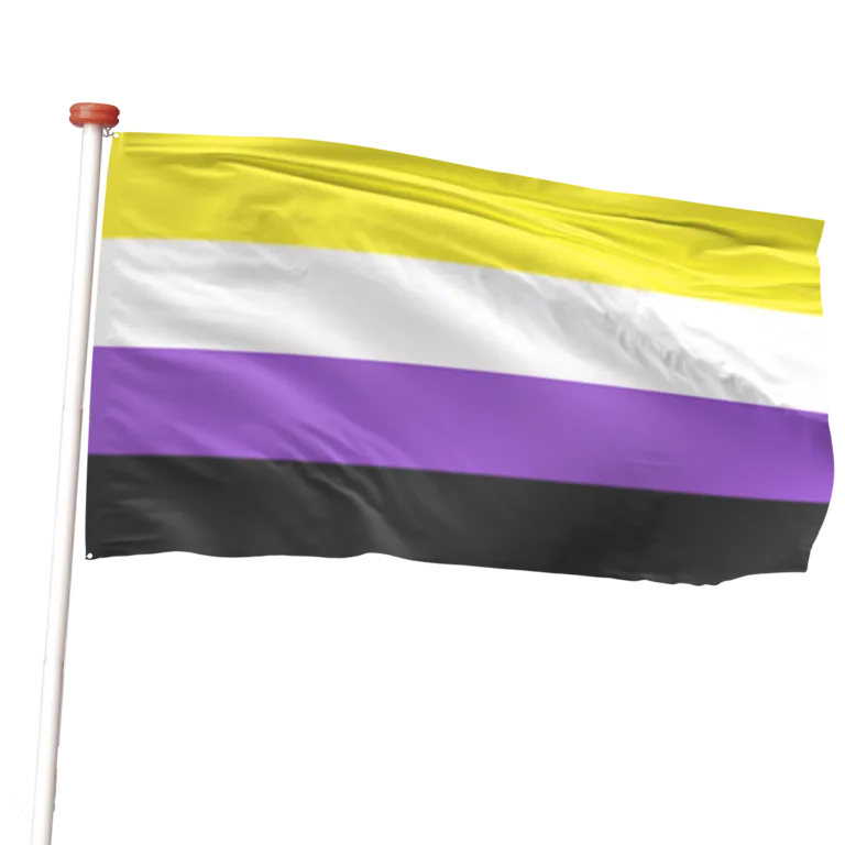 Non-Binary Pride vlag