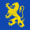 gemeente leeuwarden vlag