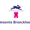 Gemeentevlag Bronkhorst