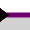 Demisexual Pride Vlag - Afbeelding 2