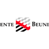 gemeentevlag beuningen