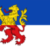 Gemeentevlag Neder-betuwe