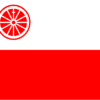 gemeentevlag wageningen