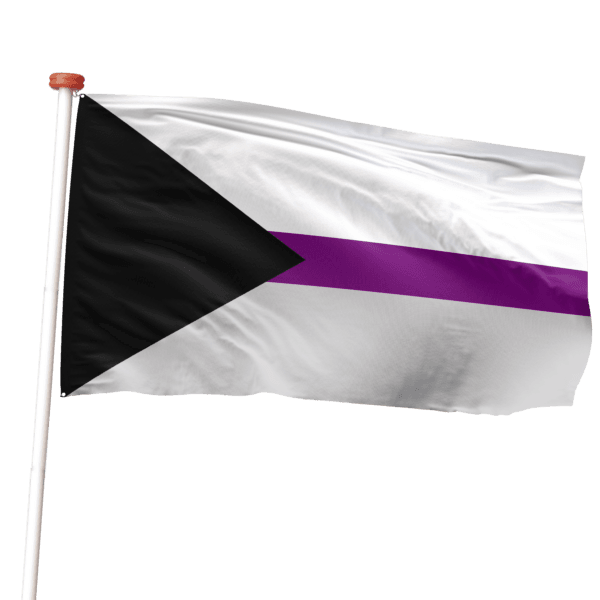 demisexuele vlag