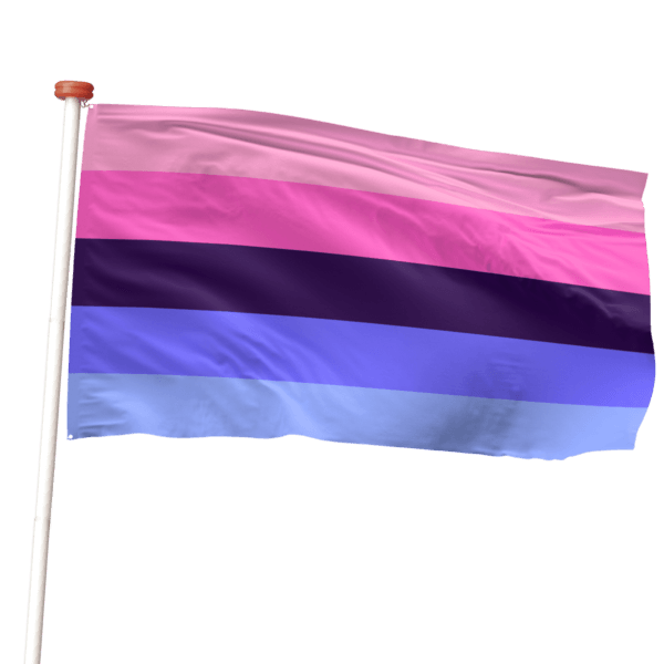 Omnisexuele vlag