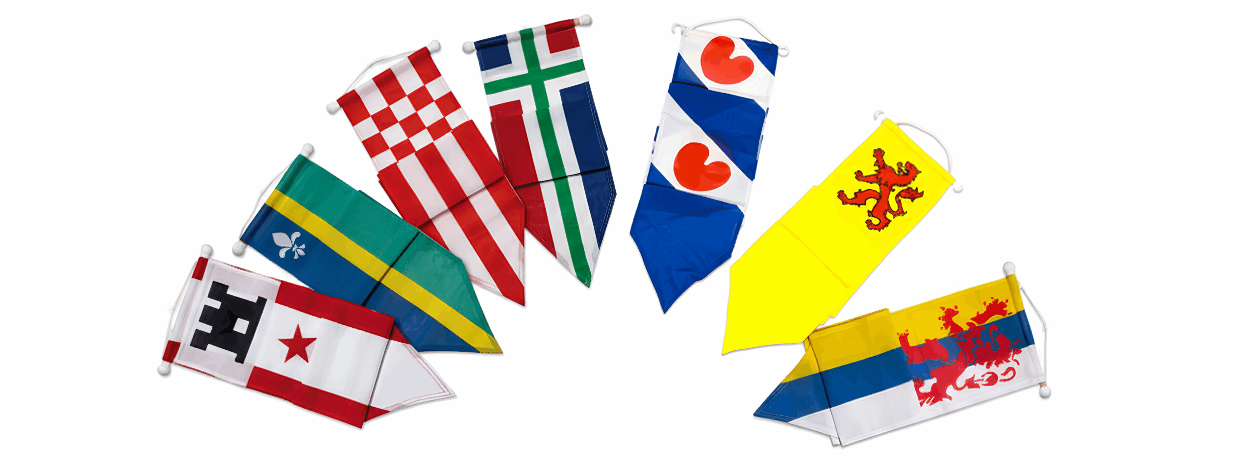 cat overzicht wimpels 2 scaled