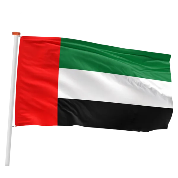 Verenigde Arabische Emiraten vlag (Verenigde Arabische Emiraten)