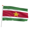 Surinaamse vlag (Suriname)