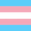 Transgender vlag